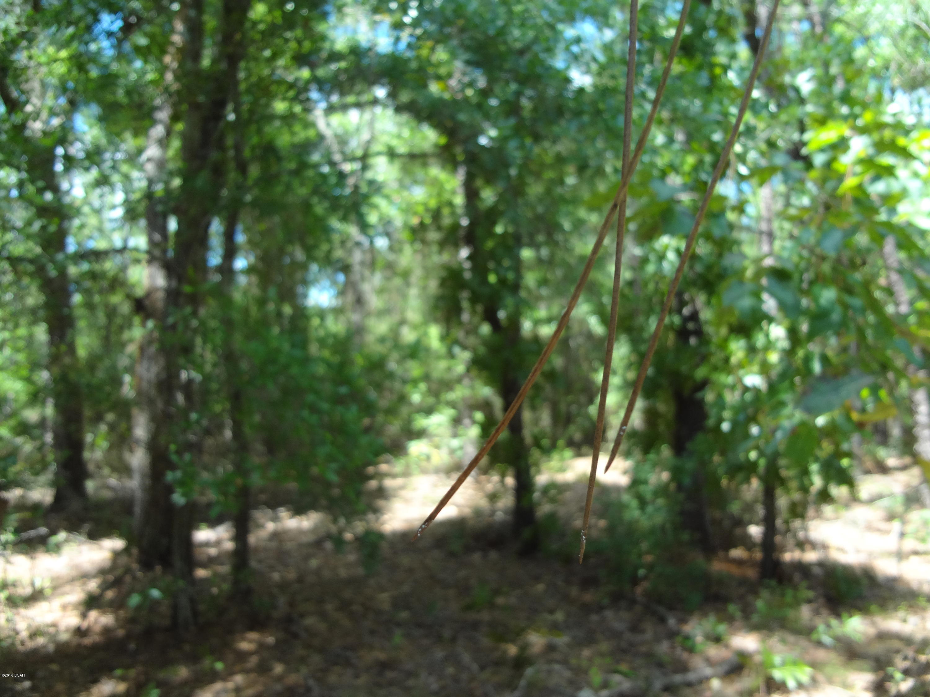 [No Recorded Subdiv] - Land