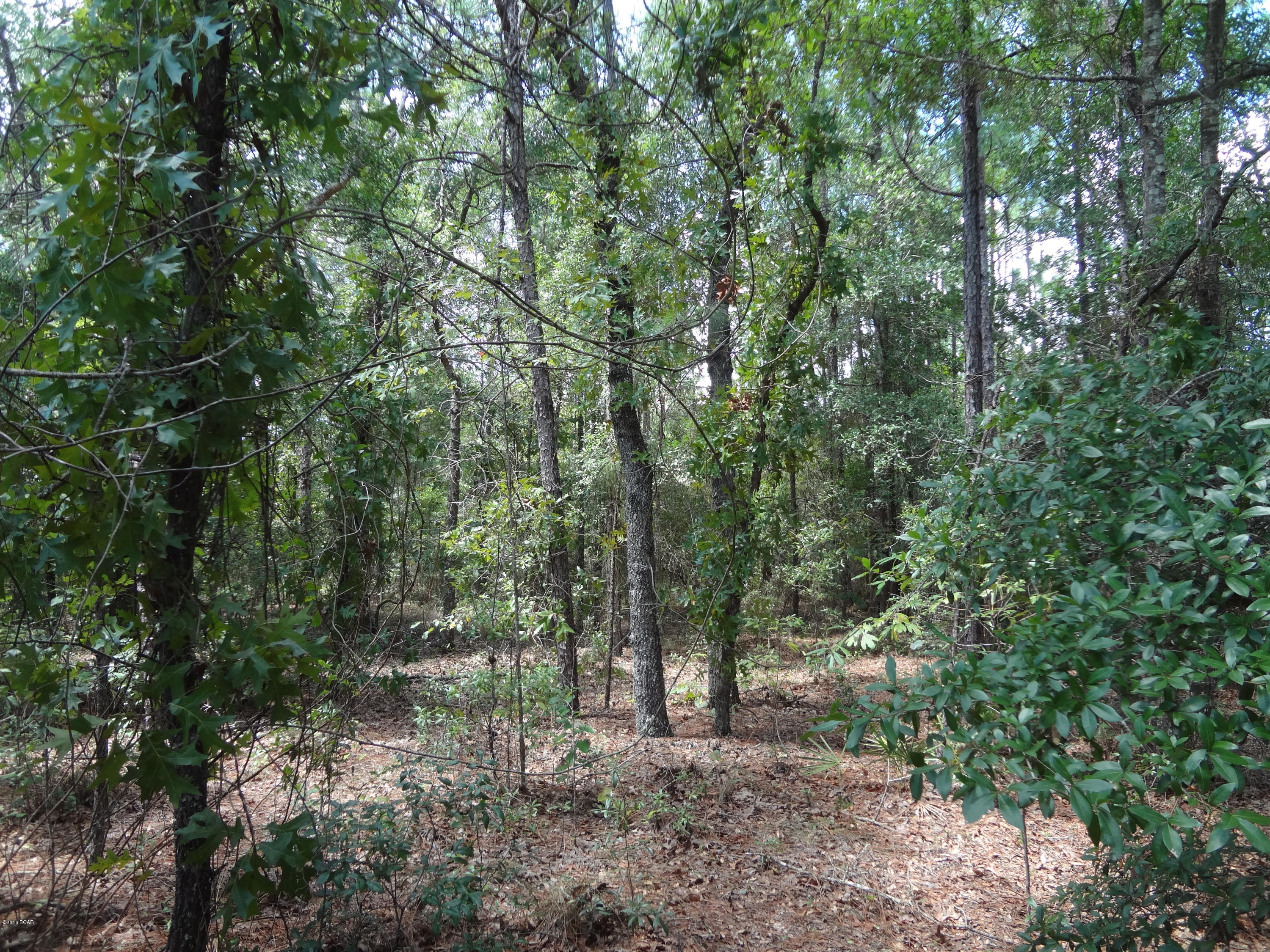 [No Recorded Subdiv] - Land