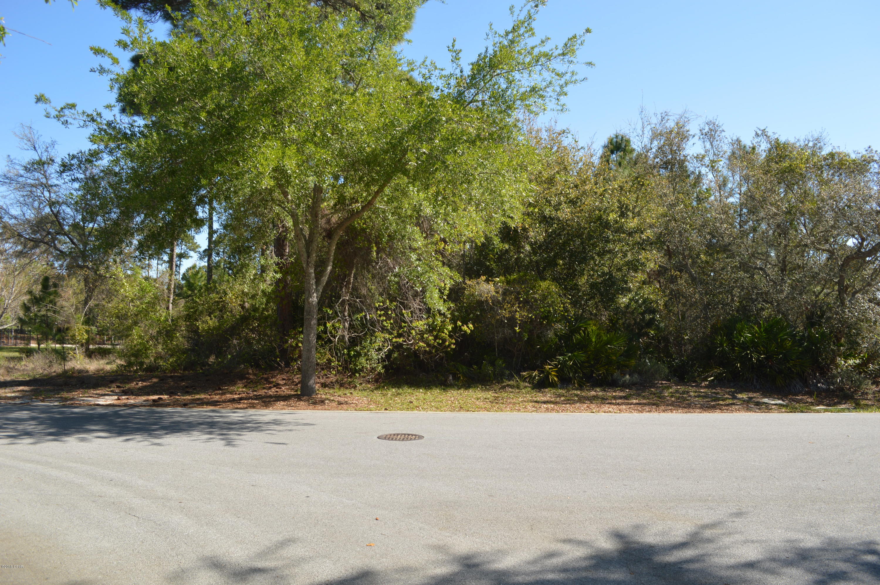 Martinique Phase I - Land