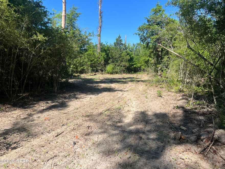 3.43 acres not far out of Alford Fl. on a county graded road. High and dry.  Land is partially cleared.  Comes with an already established power pole with electricity.
Property needs a well & septic tank.  No deed restrictions. NO HOA , Nice and quiet setting with trees.  Sits about 2 minutes out of the town of Alford and only about 45 min to Panama City Fl and about 5 minutest I-10. 10 minutes to Marianna Fl. Seller has a current survey. Not in a flood zone.
