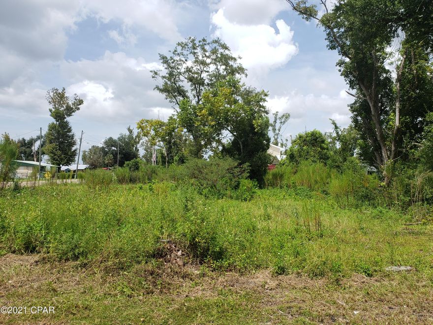 Large Corner lot with water and sewer available with City of Springfield.