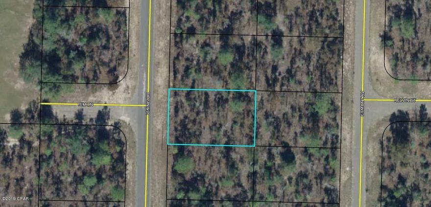 Great building lot in Sunny Hills. Located 25 miles north of Panama City and 18 miles south of Chipley, this community offers golfing, fishing, and many fine fishing and recreation lakes. Great time to invest in the future of the Florida Panhandle. Buyer to pay Title Insurance, Closing Fee, and Doc Stamps on the Deed.