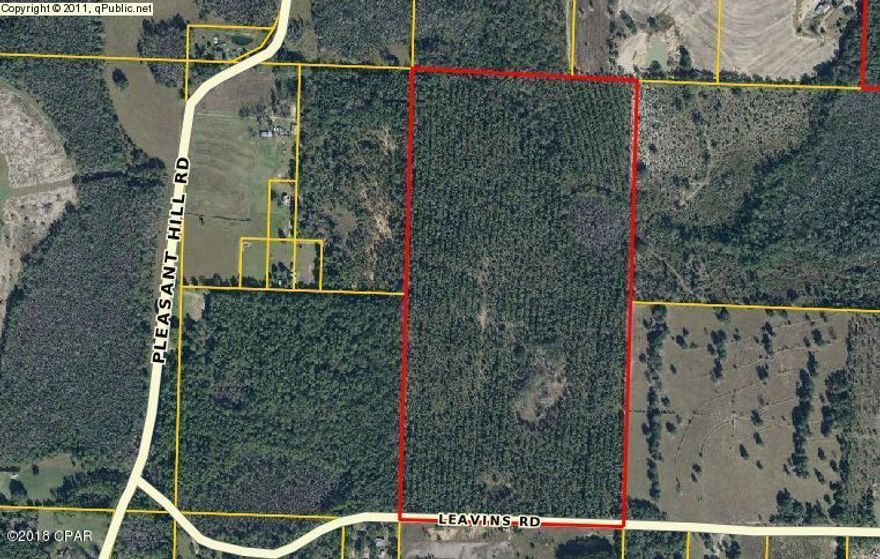 Hunting or Investment, this prime property is located only 40 minutes from Panama City Beach. Enjoy the Country Life on an ideal recreational property while watching an abundance of Wildlife; ENJOY the great outdoors! Or, let nature take its course and enjoy the bounty of a Timber Investment.
