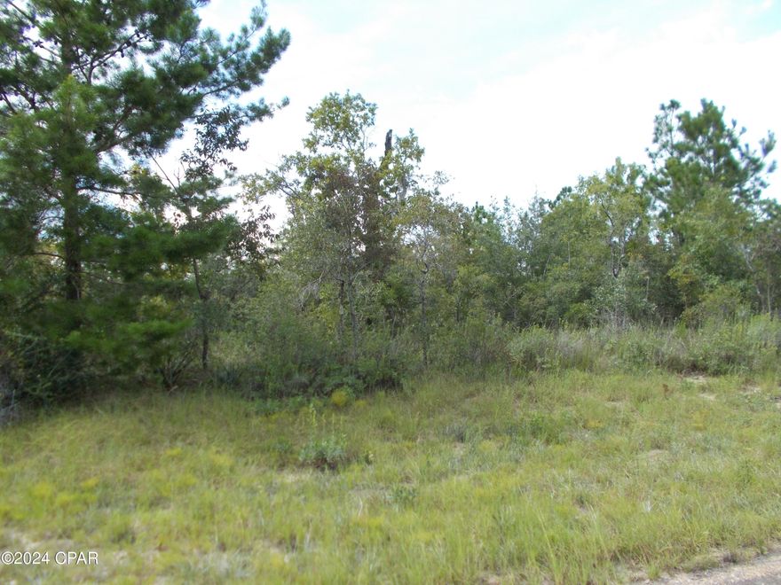 Oversized wooded building lot in Sunny Hills, this subdivision has a golf course, boat lake and Gap Pond to enjoy. Not a long drive to the beaches.
