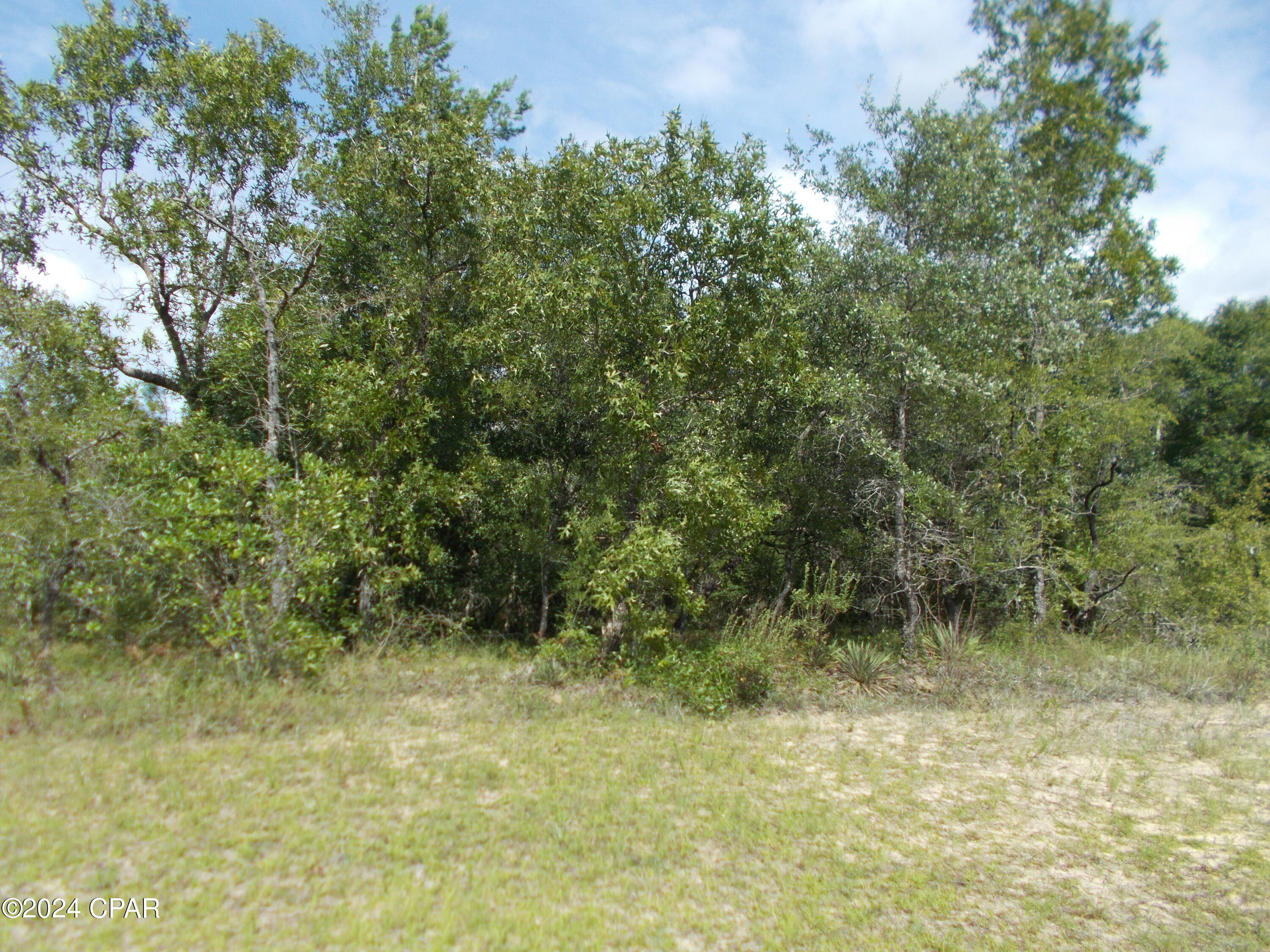 Sunny Hills Unit 7 - Land