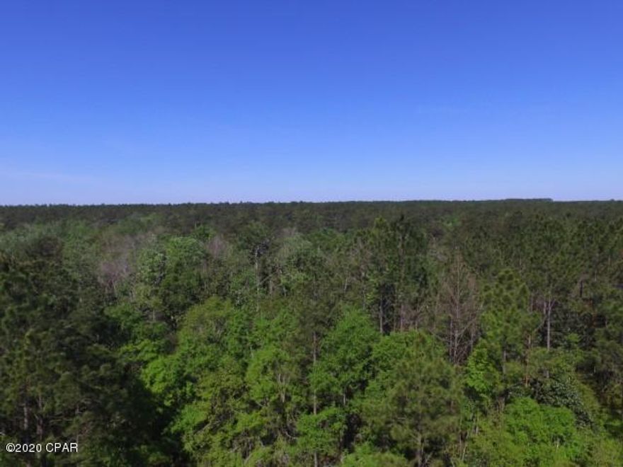 Looking for the perfect escape from the city? This beautiful property with lots of privacy just hit the market.   Close to National Forest and rivers.