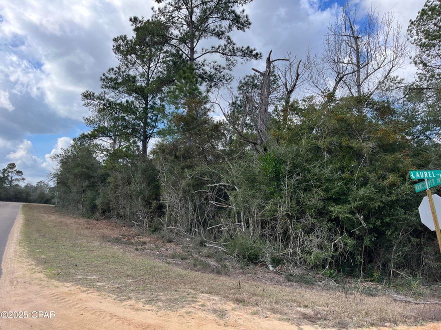 This corner lot is located just a short drive off of 231 on a paved road and is ready for your vision! It is also a short drive to the public boat ramp. Compass Lake in the Hills is a deed restricted subdivision located off of Highway 231 in Jackson County. A recent ordinance change of the restrictions allows for manufactured homes in the subdivision, opening up the possibilities beyond just building. For HOA members, the community features disk golf, a driving range, swimming pool, camping, waterfront restaurants, and multiple freshwater lakes, with the best one being Compass Lake. Compass Lake is a gorgeous spring-fed lake that is loved for boating, fishing, and water-skiing. On McCormick Lake there are two beach areas with water toys, a clubhouse, and two covered pavilions available for rent. McCormick Lake is an exclusive facility only available to members and their guests. There are fishing boats, fun yaks, and a beautiful beach on a serene lake. No gasoline engines are allowed on that lake, but boats with electric motors are. Enjoy the slower pace of life this community offers while being less than an hour from Panama City Beach! Buyer to pick and pay for the title policy/title fees.