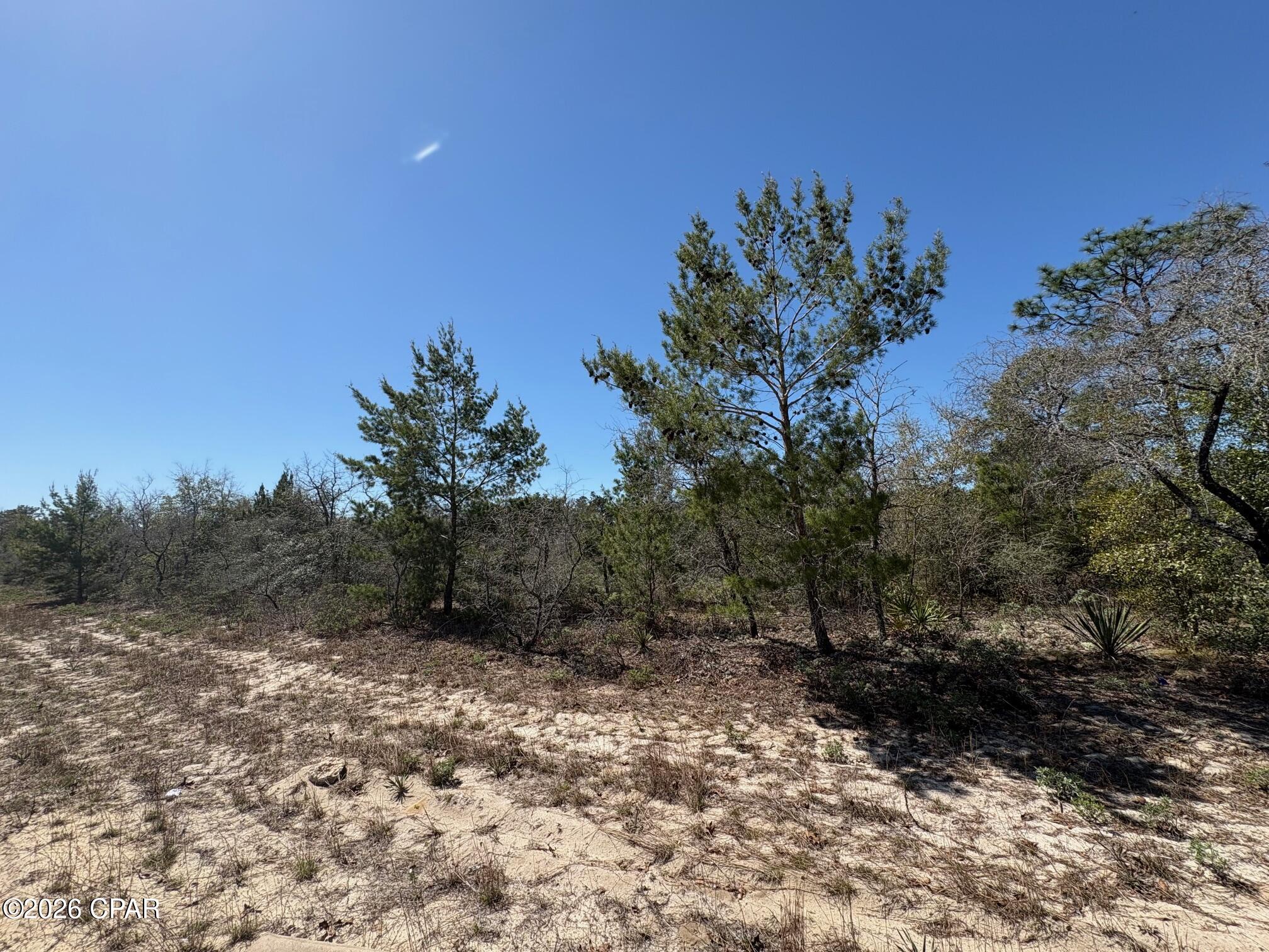 LOT 4 Webster Avenue