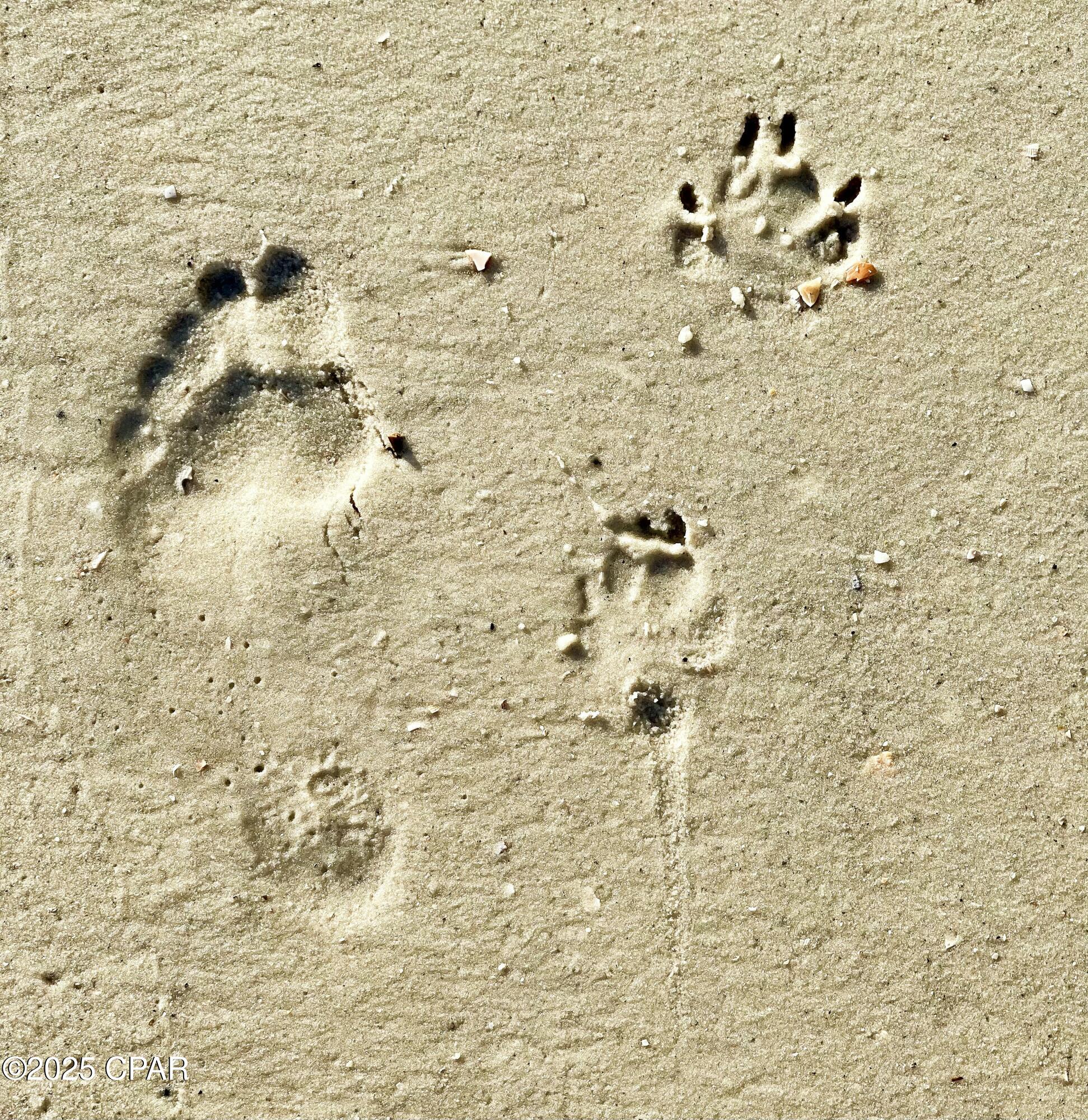 Windmark - Residential