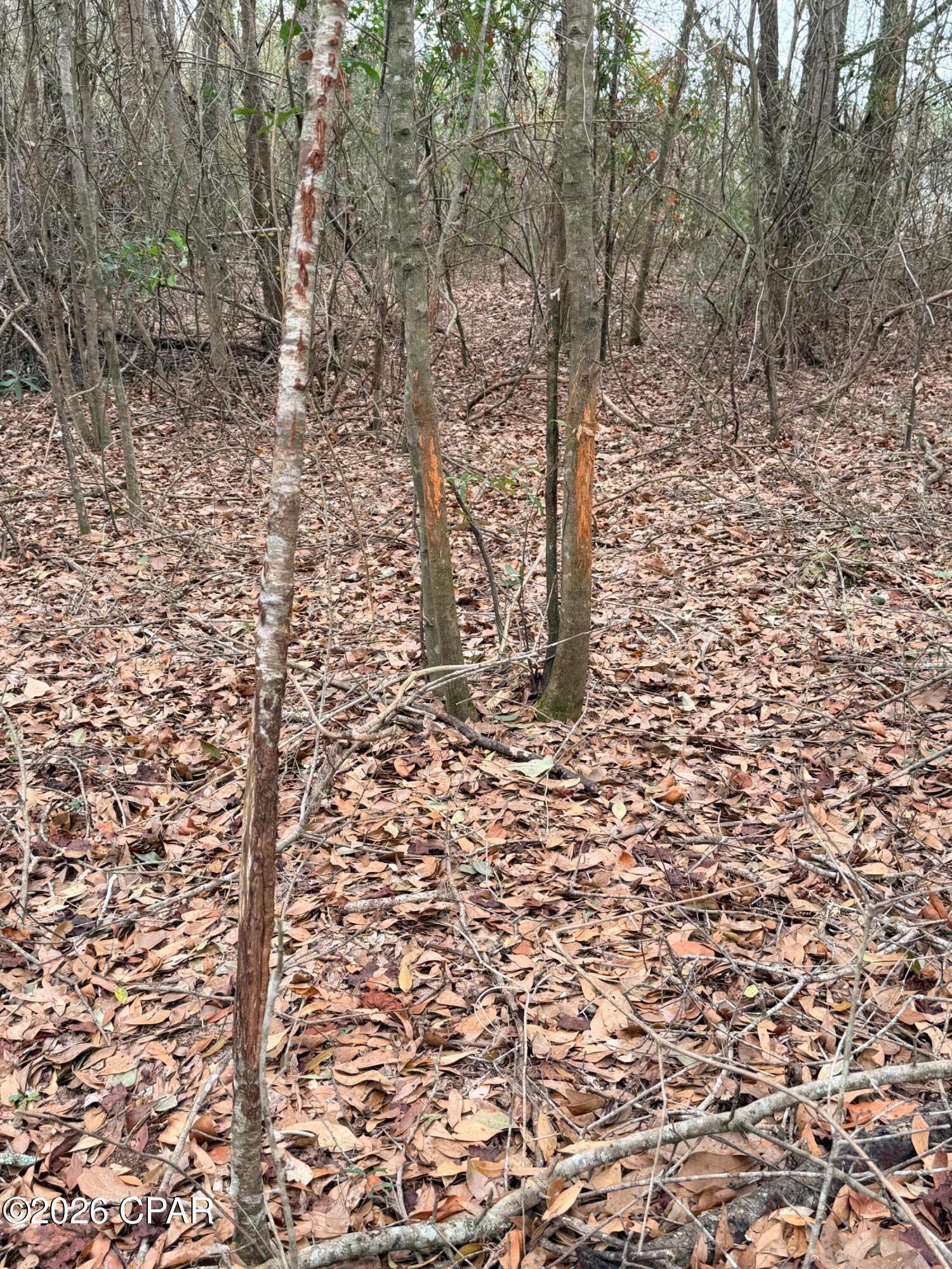 No Named Subdivision - Land