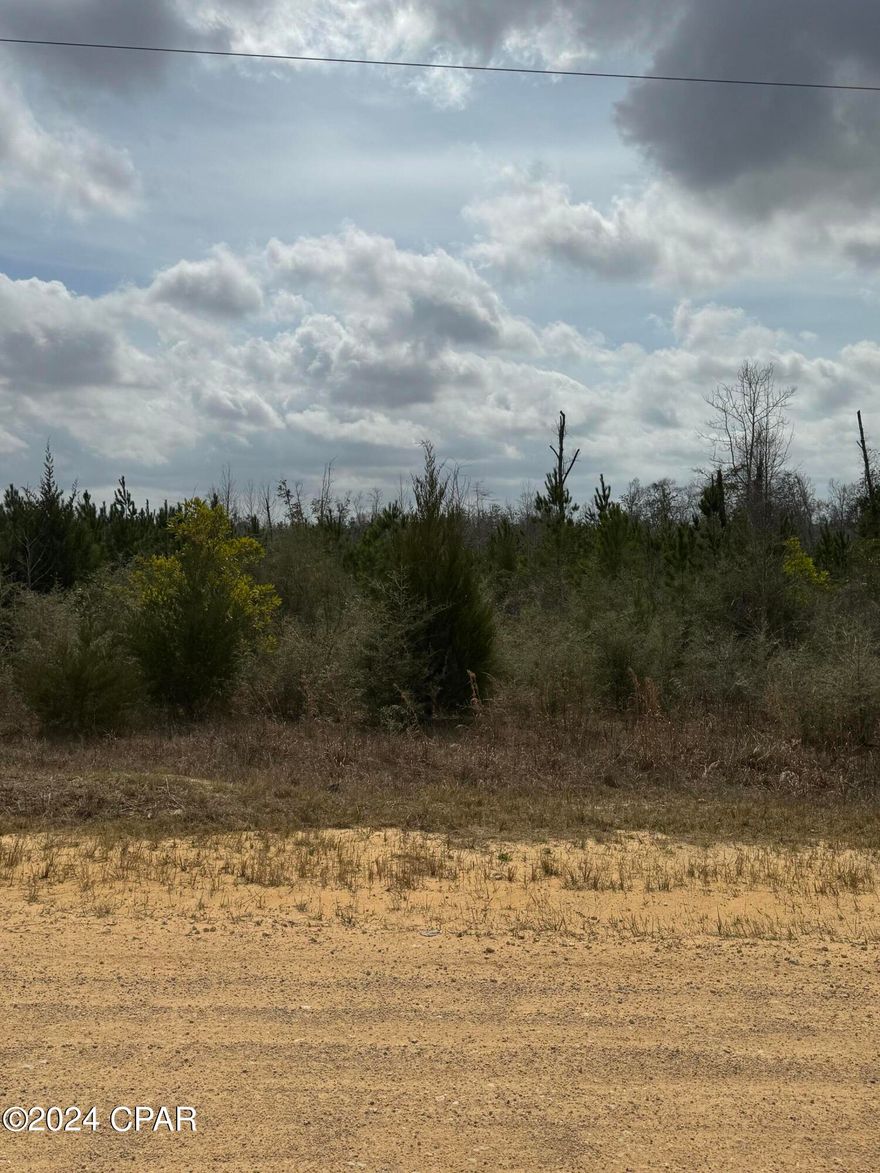30 acres of vacant wood land with a Creek on the back of the Property. Property is next to the Water Management Northwest Florida Water (Econfina).
Very private location and Great location to built your home or getaway.  Sign is on the Property.
This is a MUST see.
