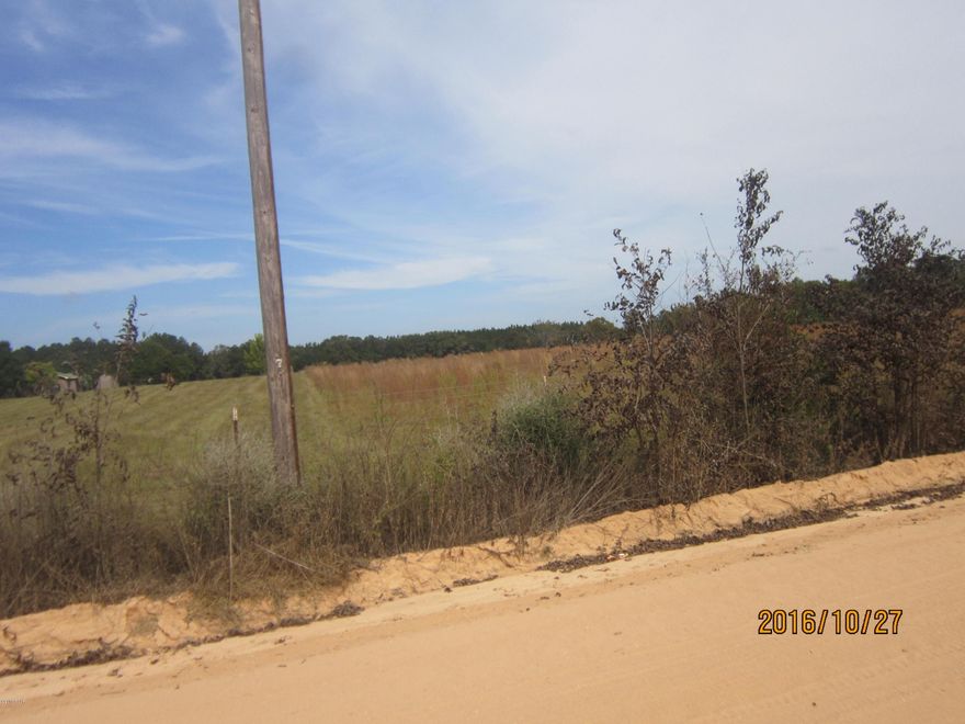 One 5 acre lot offered with this listing for $29,900.  Location is an open field of a 40 acre tract, at the corner of Cane Mill and Tiller Rd,  all cleared, surveyed and described.  Property will be deed restricted to site built homes with 1200 Sq Ft of living space or more.  Only 1/4 mile off Hwy 77 and convenient to Chipley and Wall Mart shopping, and only a short distance to Panama City and the Beaches. Under separate listing there is also a 7.06 acre tract available in same location. Don't miss out on this lot for your homesite. Property is being offer with owner financing under the following terms:  20% down payment, financed over a period of 10 years at 7% interest, no early pay-off penalty.