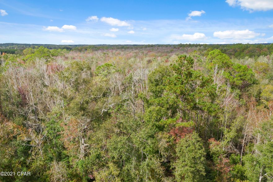 Located directly off Pioneer Rd sits this 40+/- acre wooded tract ready for its new owners. Build your dream home, use as a hunting retreat or purchase for timber investment, this rare find offers many opportunities. Property is located just minutes from Highway 77 and a short drive to Interstate 10.