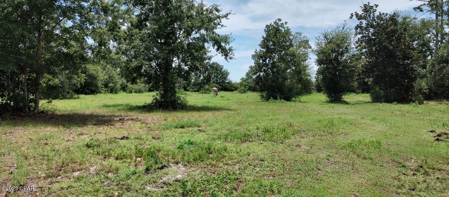 3.12 ACRES OF MANICURED, FULLY FENCED BEAUTIFUL PROPERTY THAT BORDERS THE MCCALL SOD FARM ON TWO SIDES FOR AMAZING PRIVACY.  MATURE MAGNOLIAS, SWEET GUM, BAY TREES AND A FEW  LARGE PINES FOR BEAUTY AND SHADE.  PERMITTED 24X36 POLE BARN IN PLACE AS WELL AS 8X12 UTILITY SHED COMPLETE WITH WASHER/DRYER HOOKUPS/COMBO CHICKEN COOP IN PLACE. BAY COUNTY WATER CONNECTION IN PLACE (5K VALUE), RV CONNECTIONS IN PLACE BOTH 30AMP AND 50 AMP (4 AVAILABLE), FOR YOUR RV LIVING WHILE BUILDING YOUR DREAM HOME. CUSTOM BLUEPRINTS ALREADY ORDERED ARE AVAILABLE IF INTERESTED. POSSIBLE HEARTLAND BIG HORN 2022 RV AVAILABLE FOR ADDITIONAL CONSIDERATION.