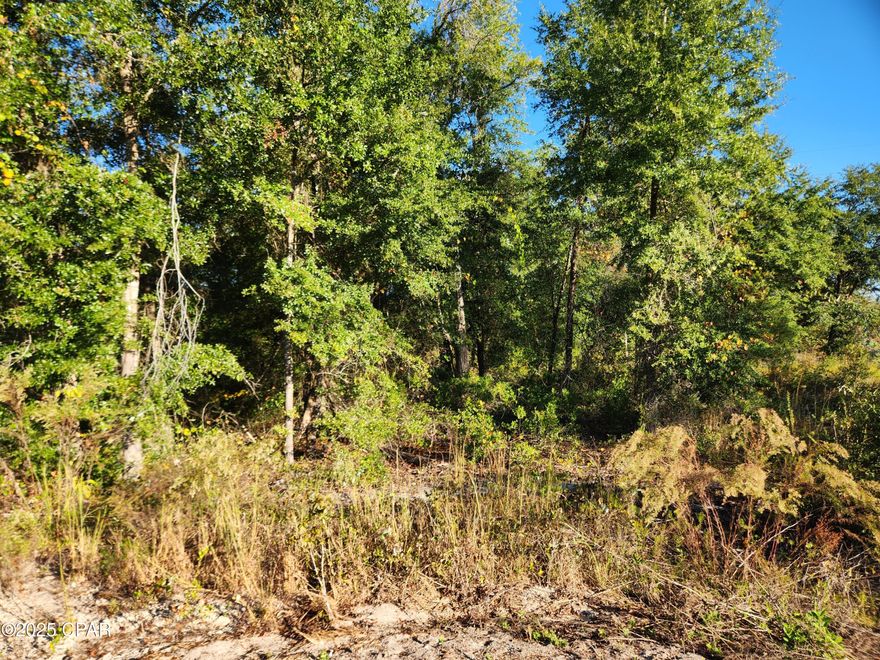 Nice 10+ acre lot just east of Hosford with a spring fed pond on land.  This parcel will allow you to build your dream home without any HOA rules to follow.  Enjoy rural living while being only 40 minutes or so from Tallahassee International Airport and the colleges in Tallahassee.  Hosford Elementary School is less than 5 minutes away and the Apalachicola National Forest is just 10 minutes away.  Don't miss your chance to own acreage in Florida.