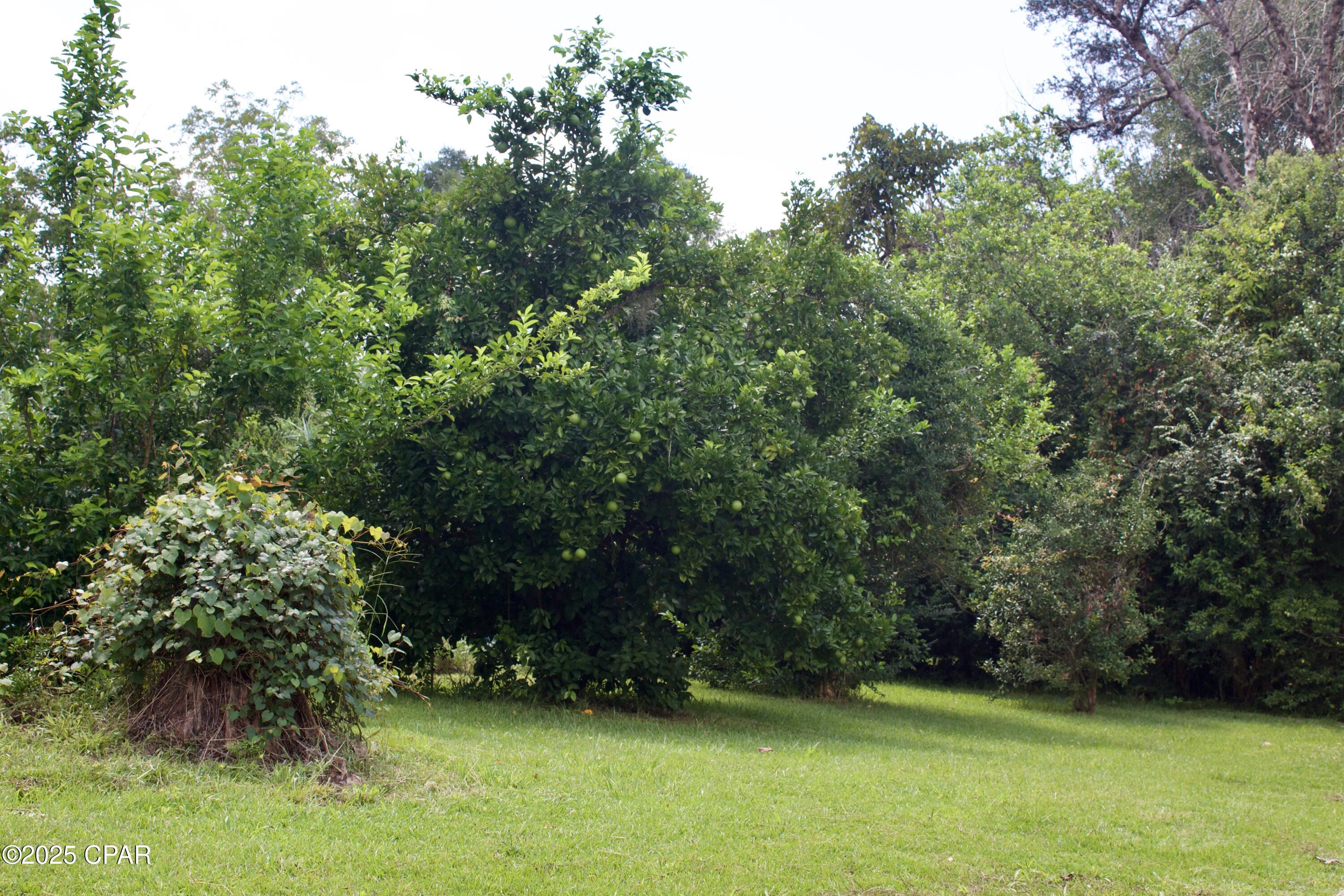 West Manor - Residential