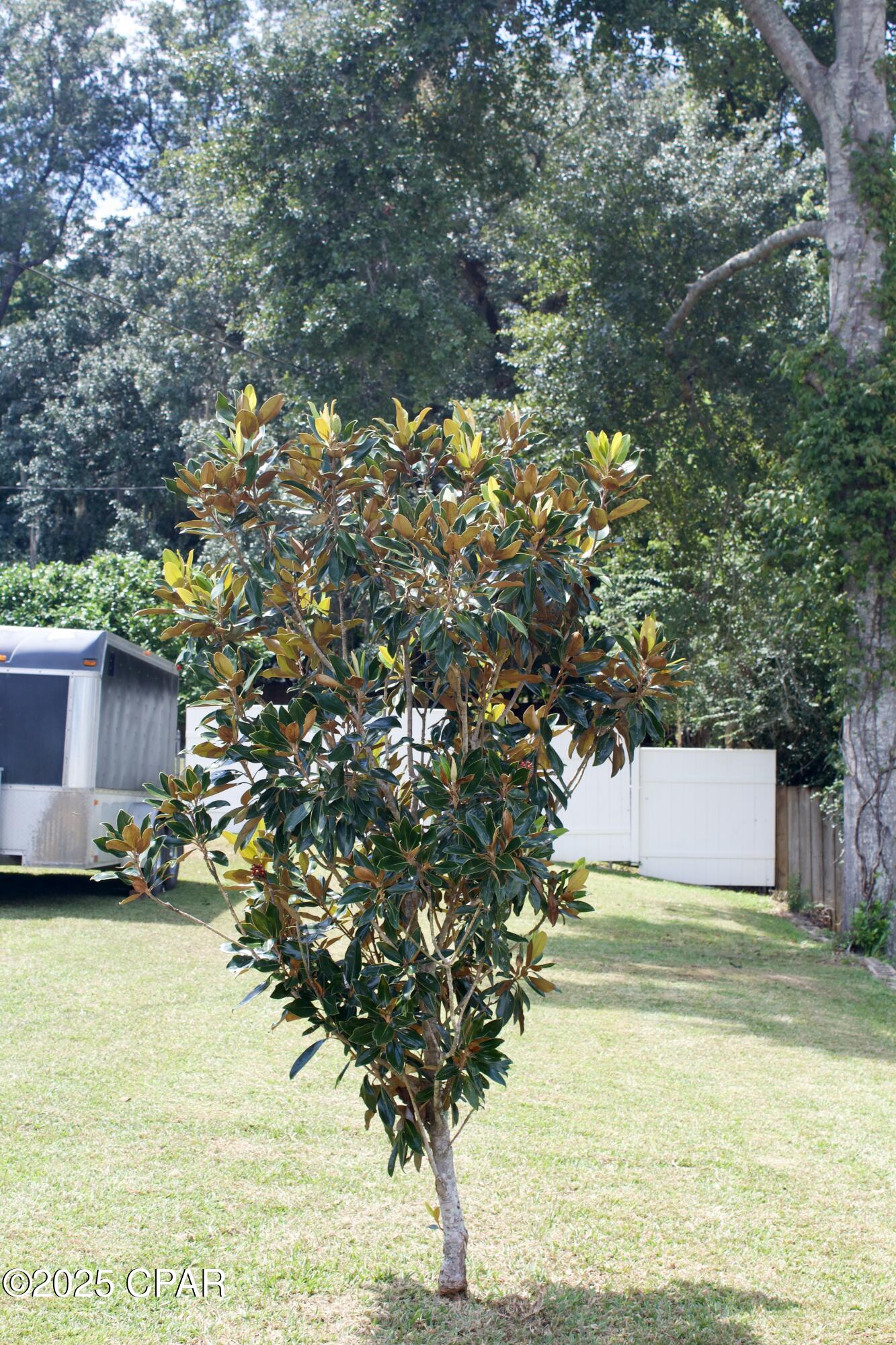 West Manor - Residential