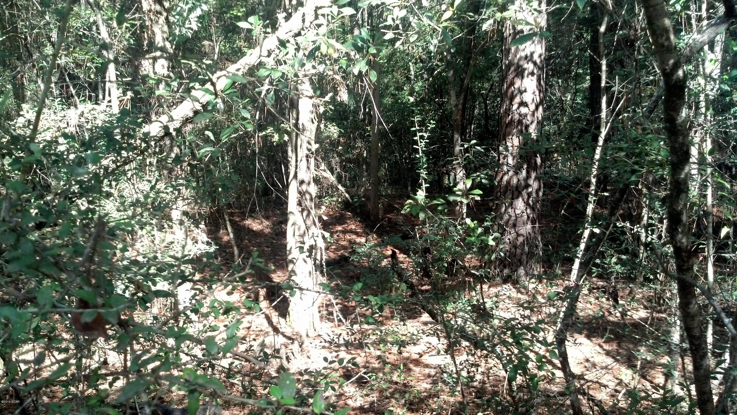 No Named Subdivision - Land