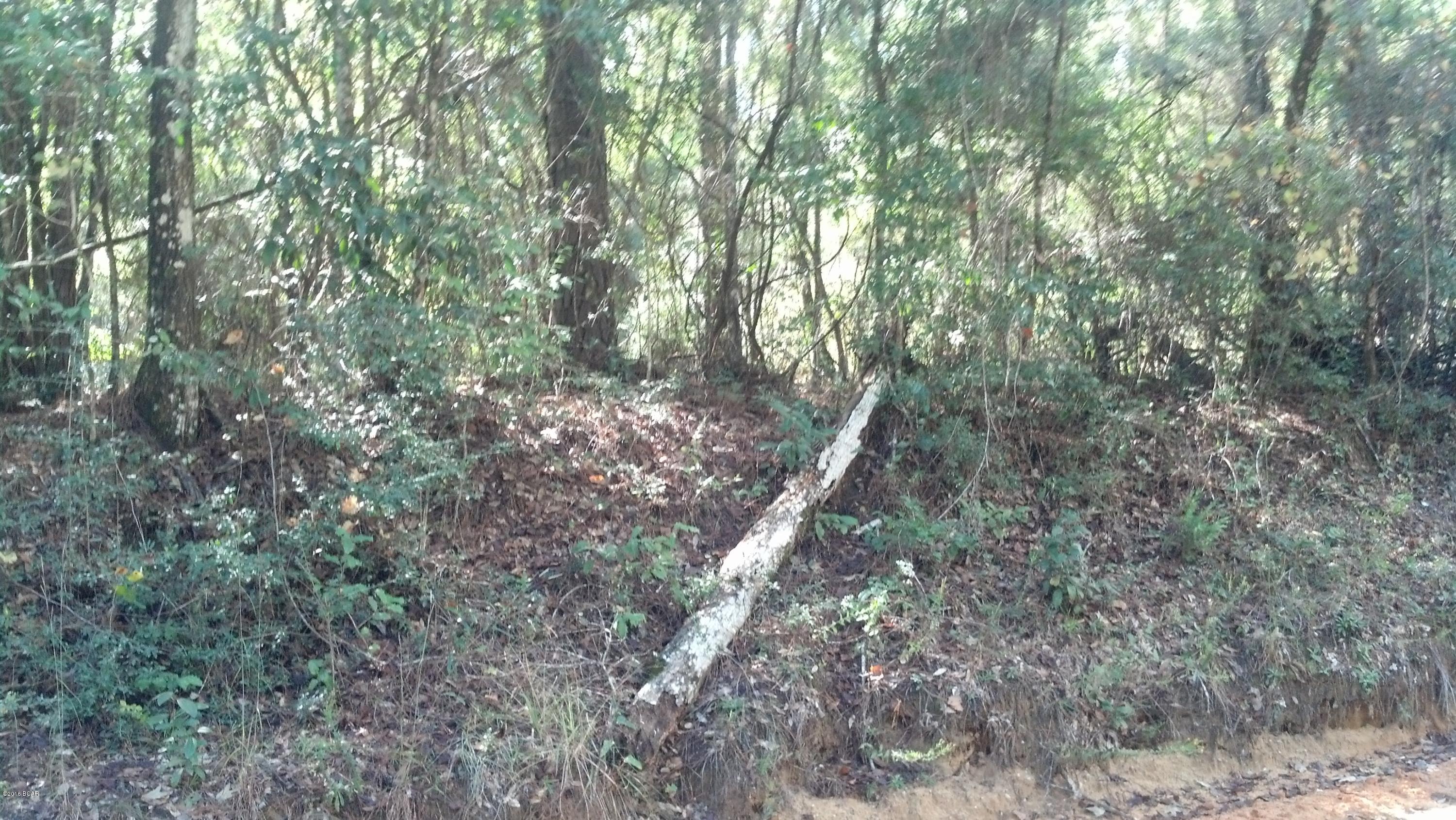 No Named Subdivision - Land