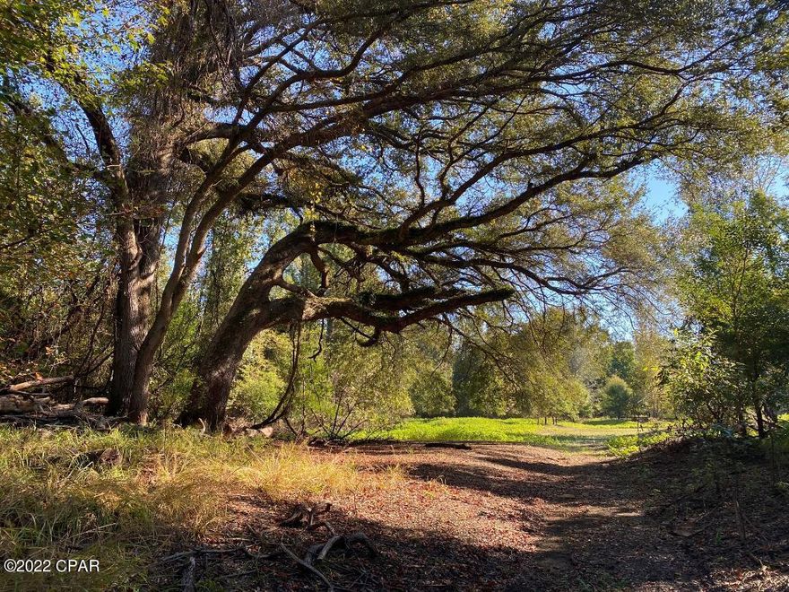 If you are looking for a unique 10 acre parcel in Jackson County FL, then look no further.   This property is located just off HWY 90 with a unique water run inside the property.  Plenty of buffer around to remain secluded and feel like no one is around you.  Build your new home, or just use for recreational purposes, it is truly up to you!!  Call today for your appointment.