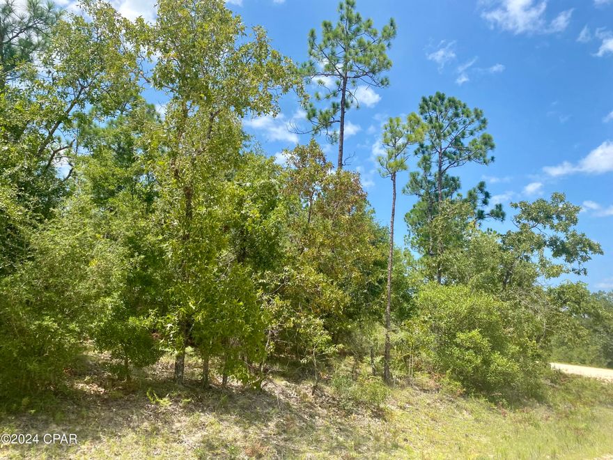 Nice corner lot in Compass Lake in the Hills! You can build a home on this lot and the ordinance has just changed so you can put a new mobile home on the lot. There is a voluntary POA that's $135 annually. Amenities include a community pool, cabins, RV park, tennis courts, community center, etc.