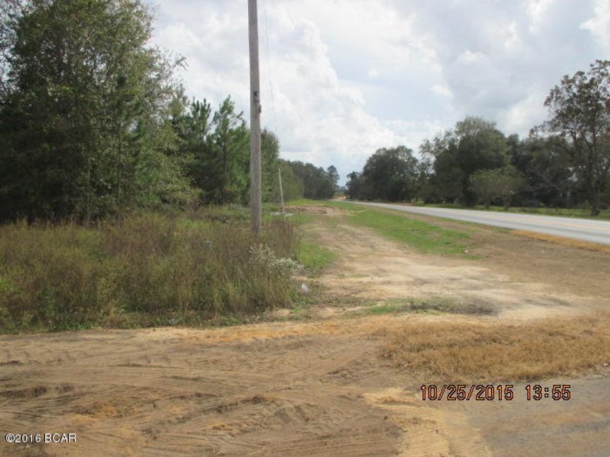 HUNTERS DREAM 38.78 Acres of great hunting land. This land was farmed several years ago. 2 Cypress Ponds on the property and access from a paved road on the East end and a Dirt Road on the North end. Plenty of wildlife and a great place for a country home that can be farmed.