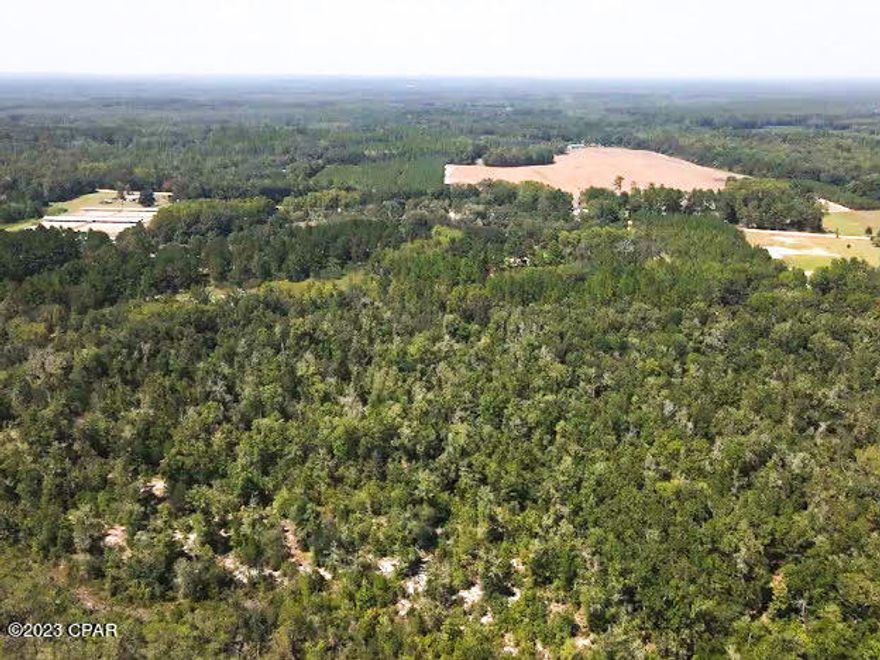 '120 unrestricted acres: A Hunters paradise or a great property to build a home or for recreational purposes. This property would also make a great investment property.  5 minutes from Ponce De leon Springs. 10 minutes from Morrison Springs. 15 minutes from Vortex Springs. Less than an hour from Walton County's 30A beaches. Schedule a showing to see this property with endless possibilities.