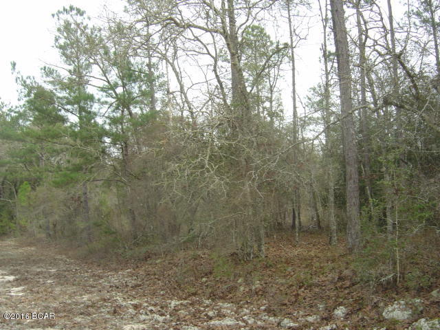 Compass Lake Hills Unit 5 - Land