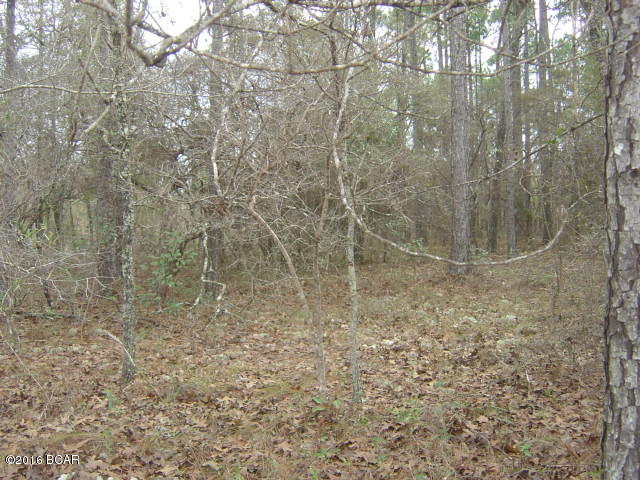 Compass Lake Hills Unit 5 - Land