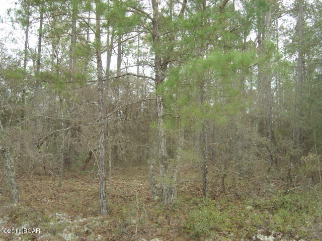 Compass Lake Hills Unit 5 - Land