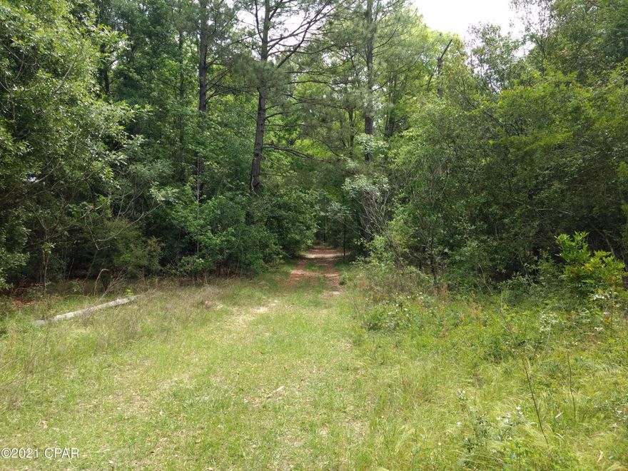 12 acres mostly high and dry. Property is wooded, but with a little bit of clearing, would make a nice home site. Road splits property in half. You could make two home sites. Close to the Choctawhatchee River and not far from the Curry Ferry Landing.