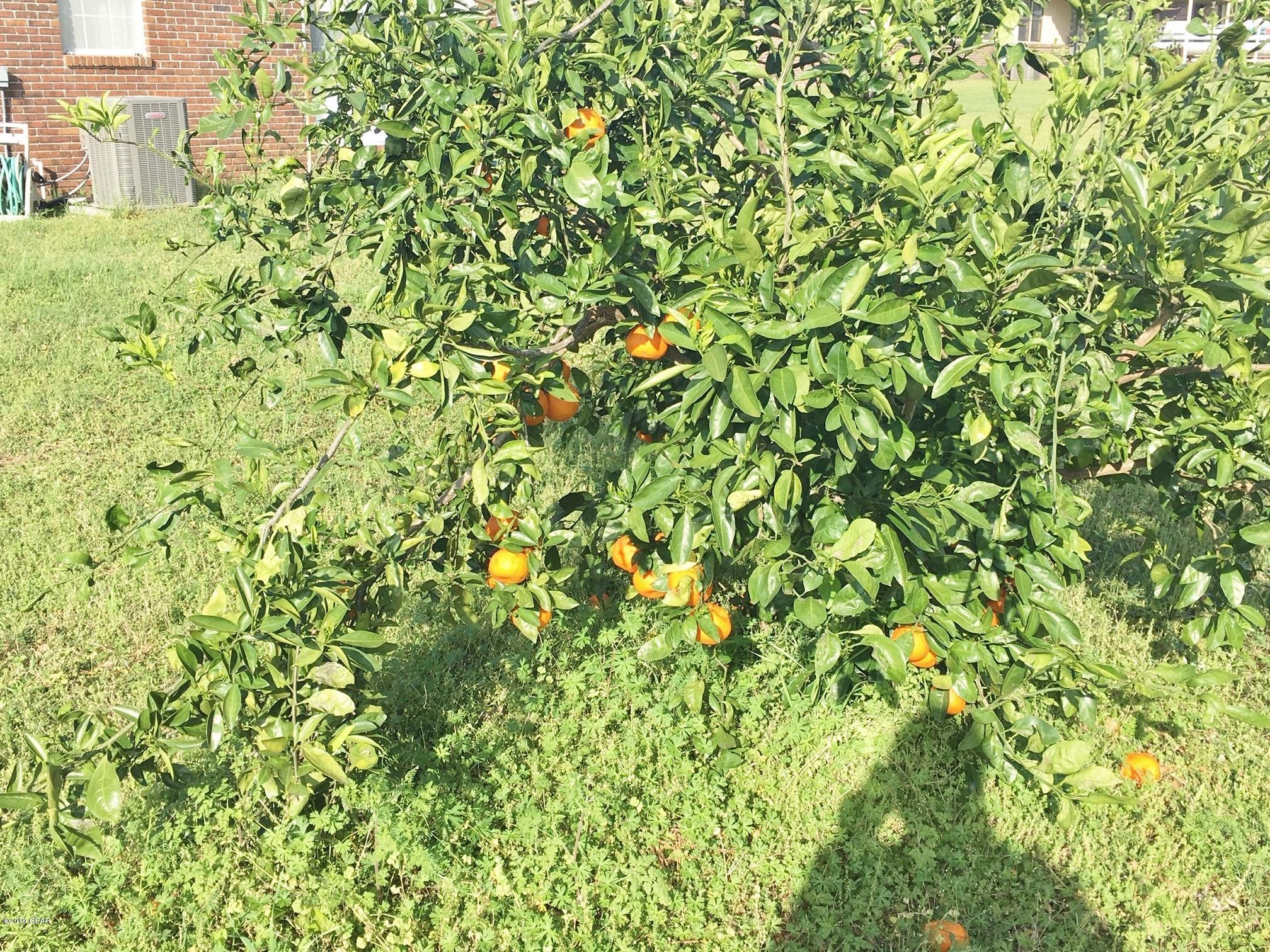 Meadow View Estates - Residential