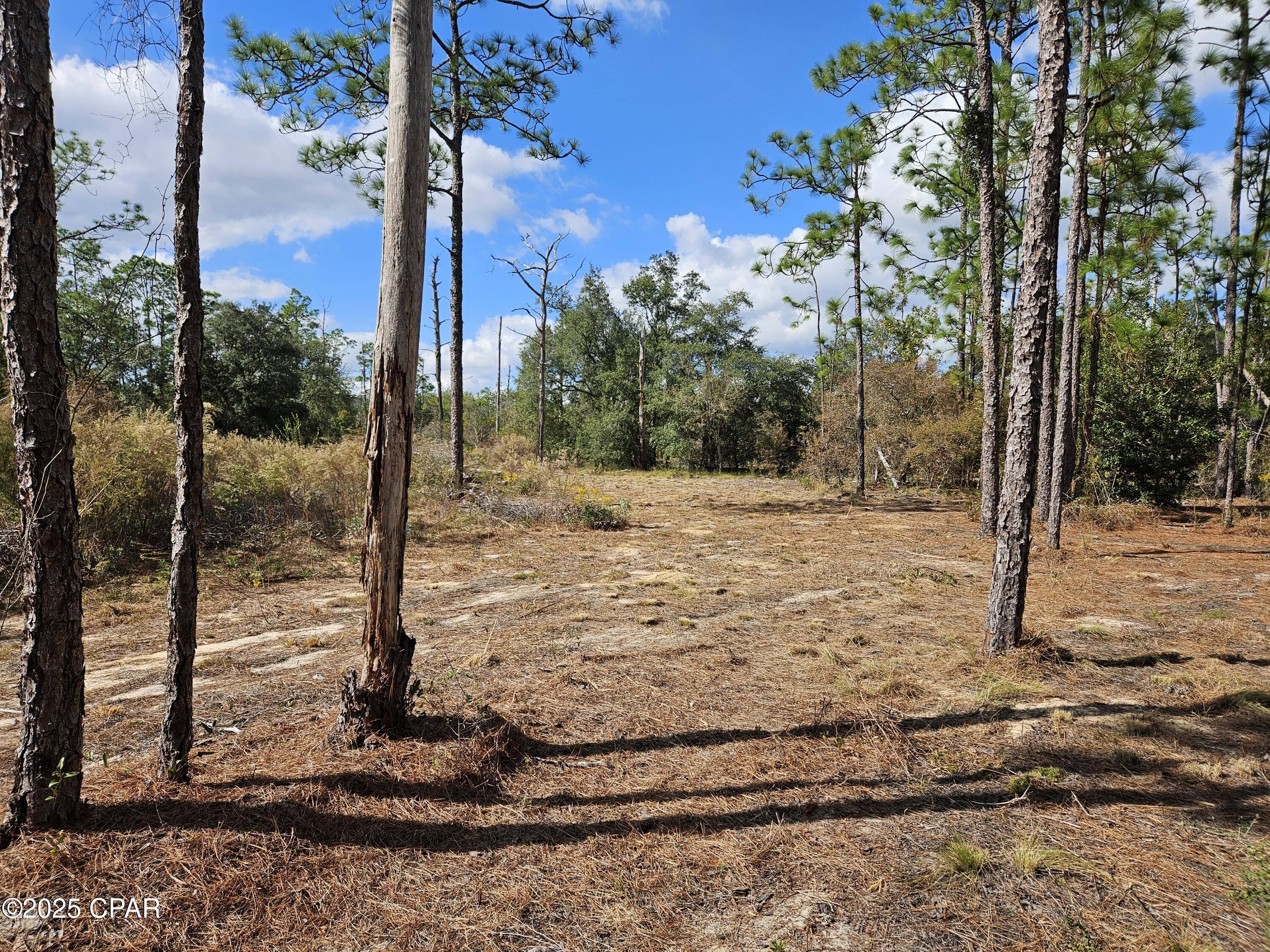 Leisure Lakes - Land