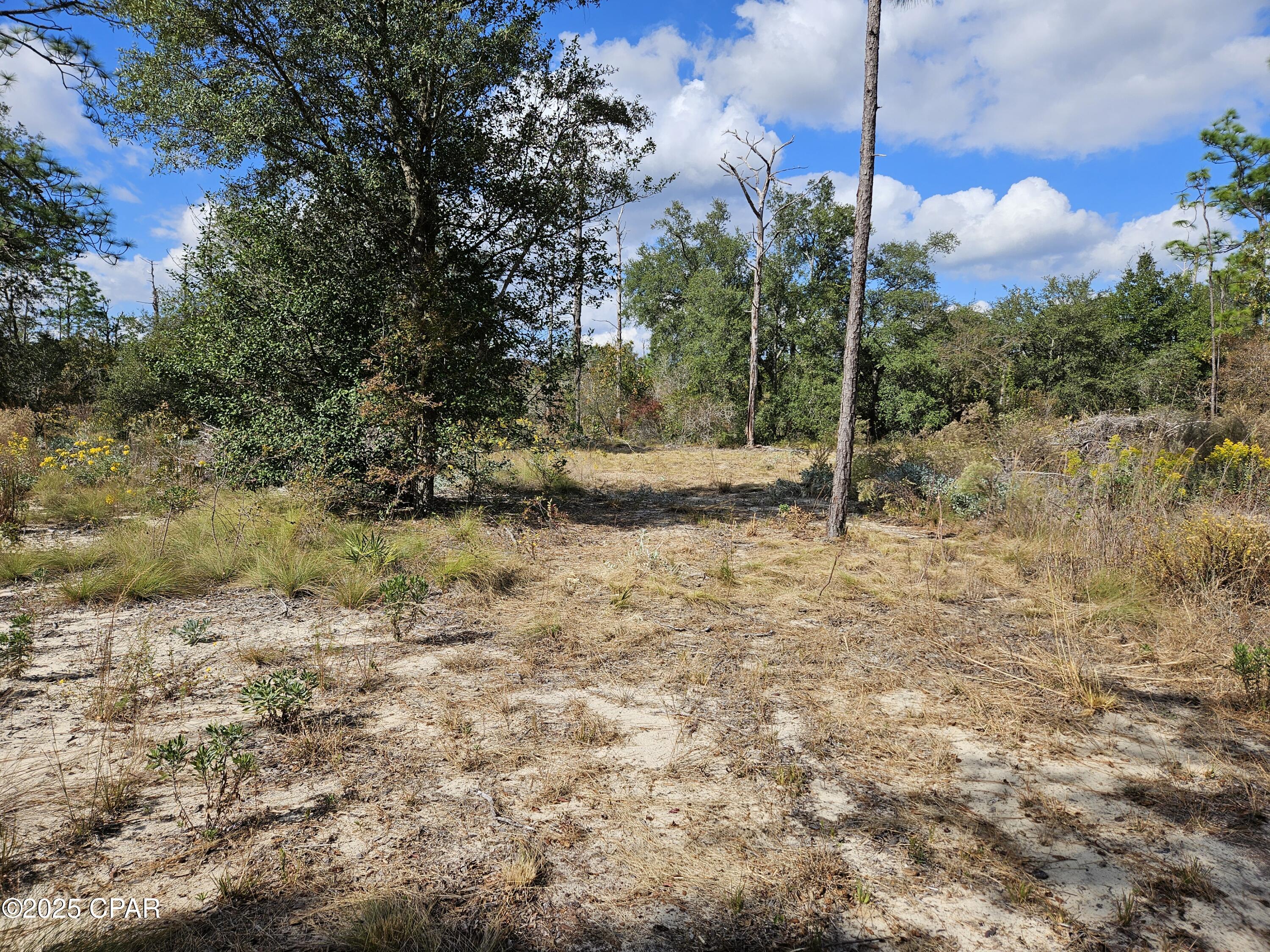 Leisure Lakes - Land