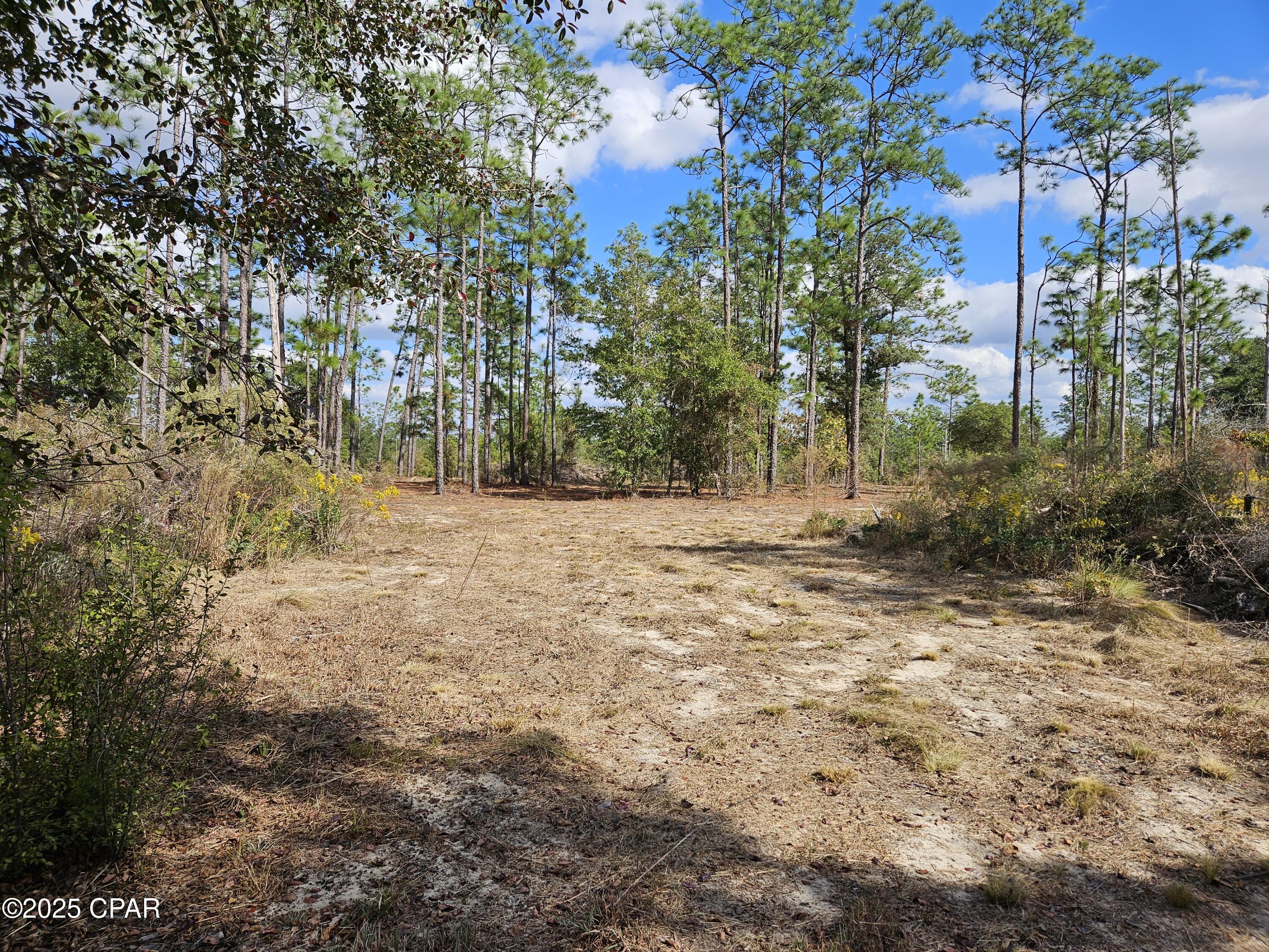 Leisure Lakes - Land