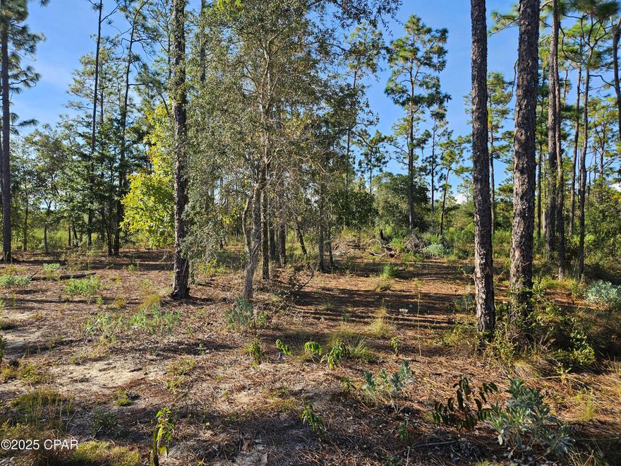 Looking for about 5 acres for a homestead, barn or a lot big enough for a horse? This huge lot may be the perfect fit. Located about 30 minutes north of Panama City off Hwy 77, it is in a security gated subdivision that has amenities including 2 big lakes, swimming pool, basketball court, tennis court, toddler playground, and more. The wooded lot, one of the largest in the subdivision that has a perimeter fence, has had some pine trees removed. It has 331 feet of road frontage, and goes back 659 feet on one side and 644 feet on the other. This is not far from Panama City or the World's Most Beautiful Beaches so it is a convenient location. Come see if lake life is calling your name.