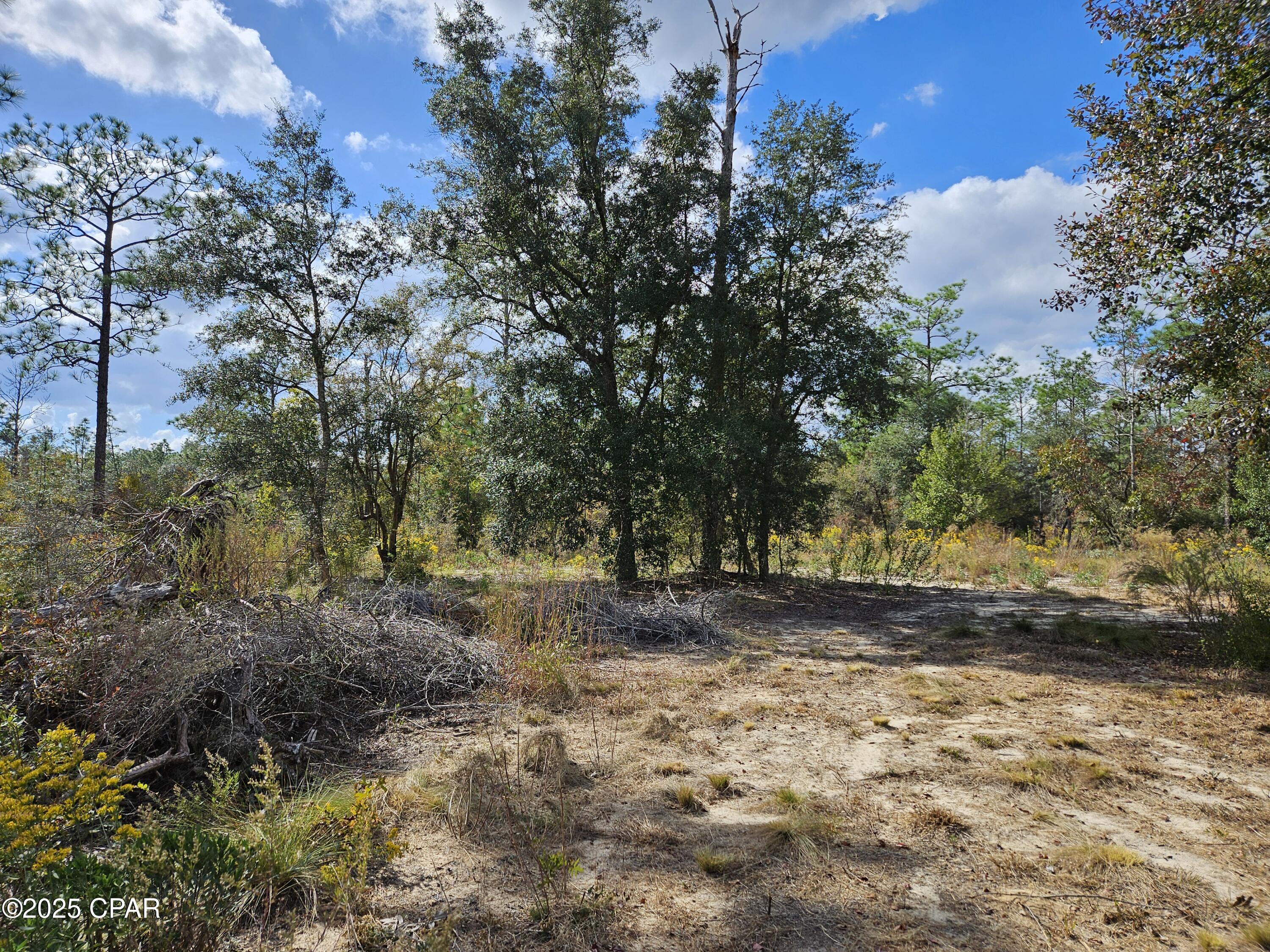 Leisure Lakes - Land