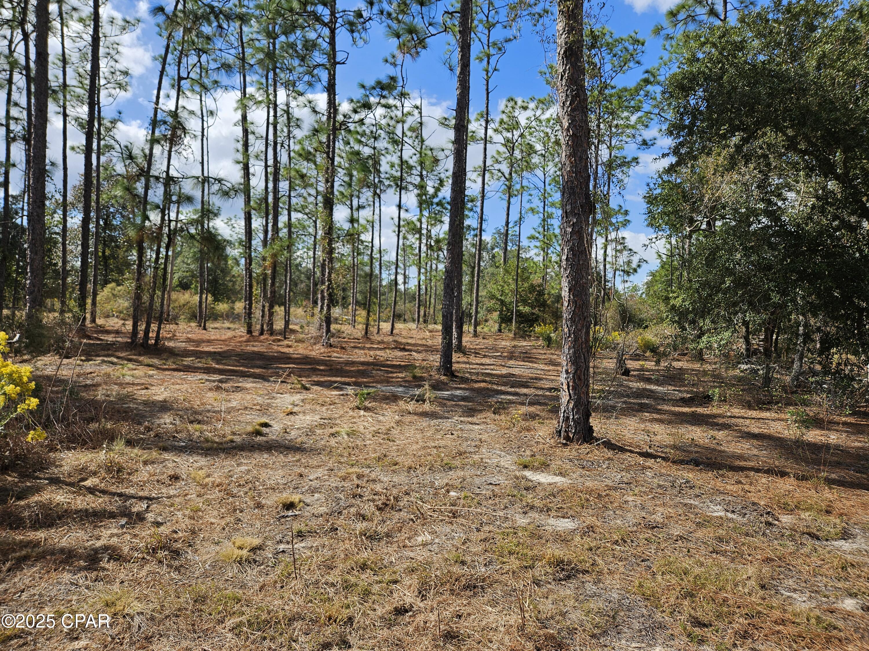 Leisure Lakes - Land