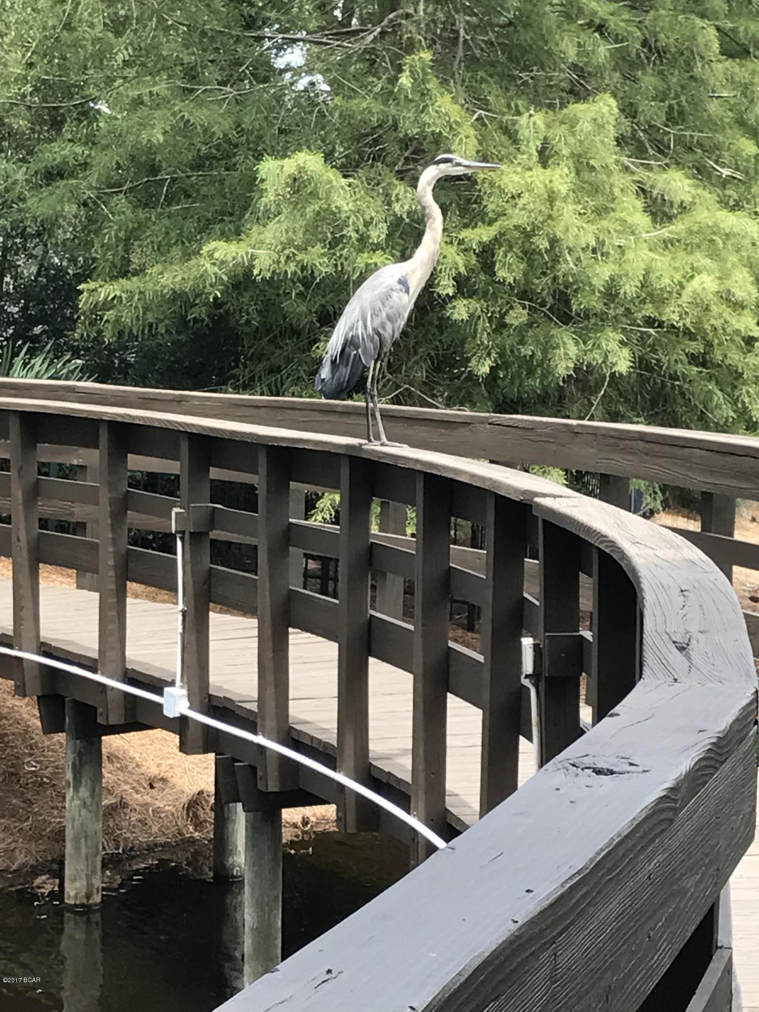 Martinique Phase II - Land