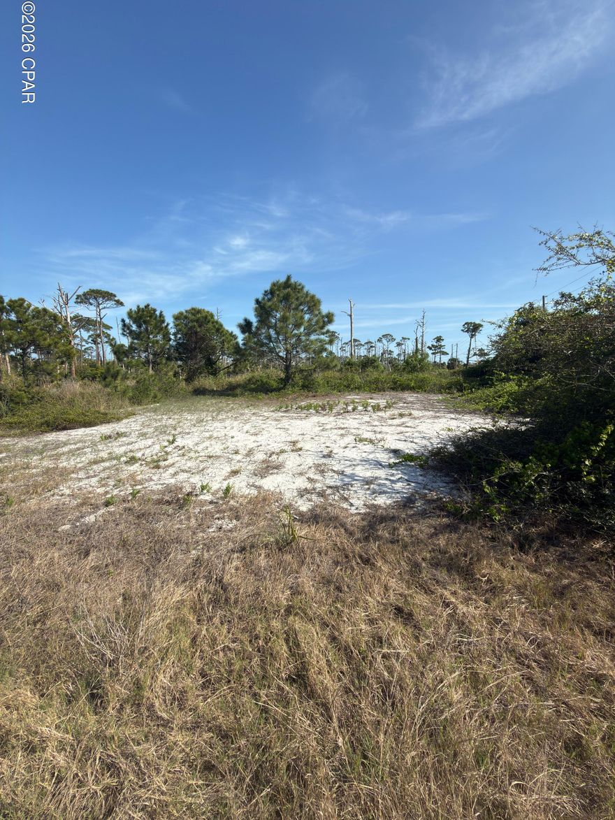 Rare opportunity with this over 1/2 acre North Cape San Blas building site. This large lot checks all the boxes; potential footprint in the coveted X flood zone for ground floor living and no flood insurance, deeded and dedicated dock access, Gulf of America views over William J Rish State Park, and a beautiful setting adjacent to a coastal dune pond. This true gem of a lot has great beach access and it is located equidistant about 2000 feet from Cape Palms Park (Gulf County) or William J Rish State Park. Bring your plans and get ready for the best that the Gulf and Bay offers at Beautiful Cape San Blas. Adjacent home for sale, see MLS Listing 787664.