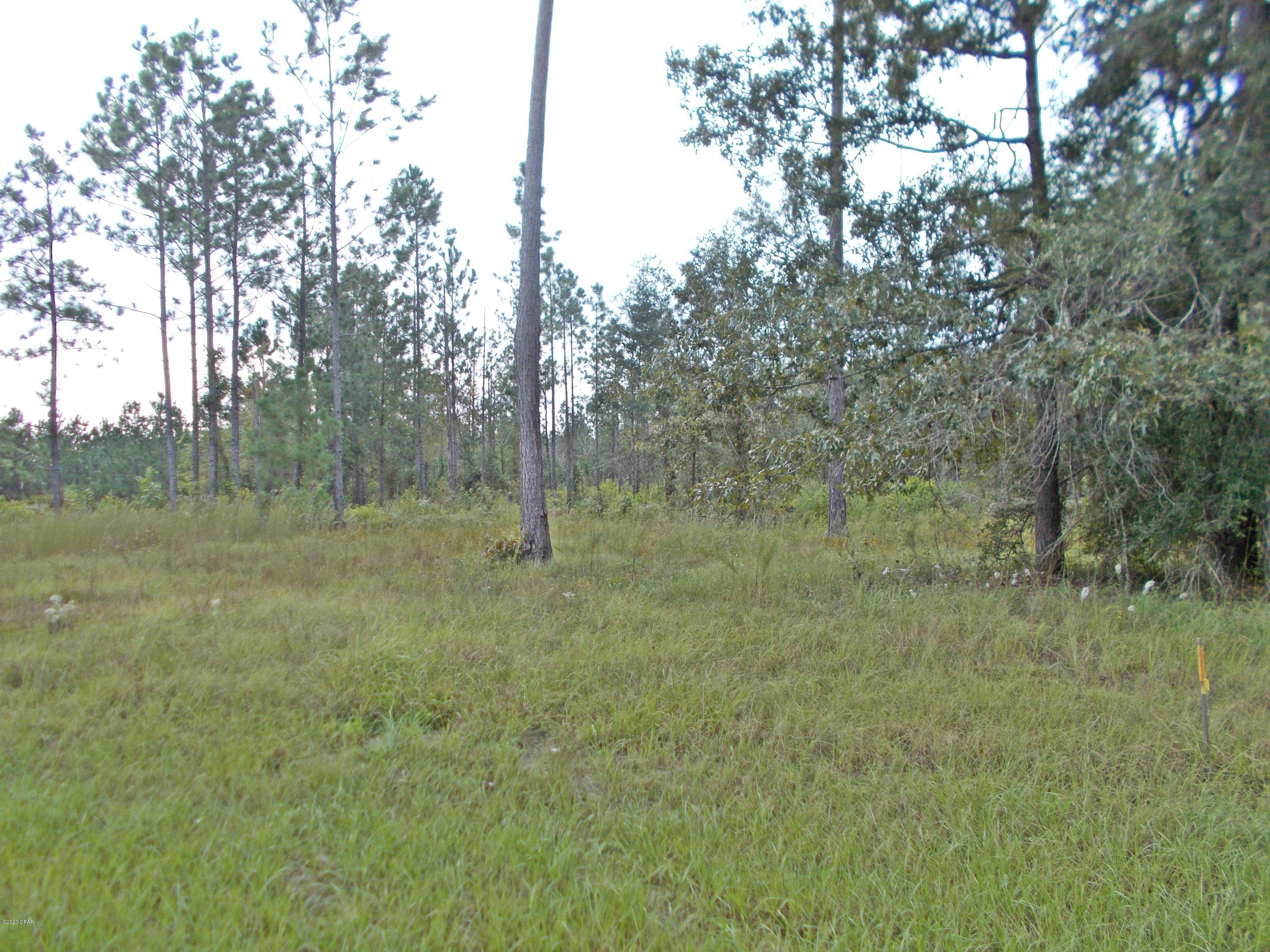 Blue Springs Plantation - Land