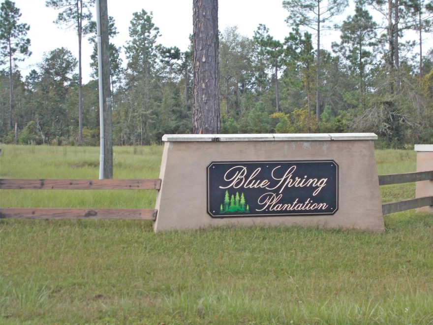 Beautiful wooded lot inside of the Blue Springs Plantation subdivision just minutes from downtown Marianna and the new Marianna school District, This lot is on a paved road and offers  Nice new homes in the area. Survey attached to listing.