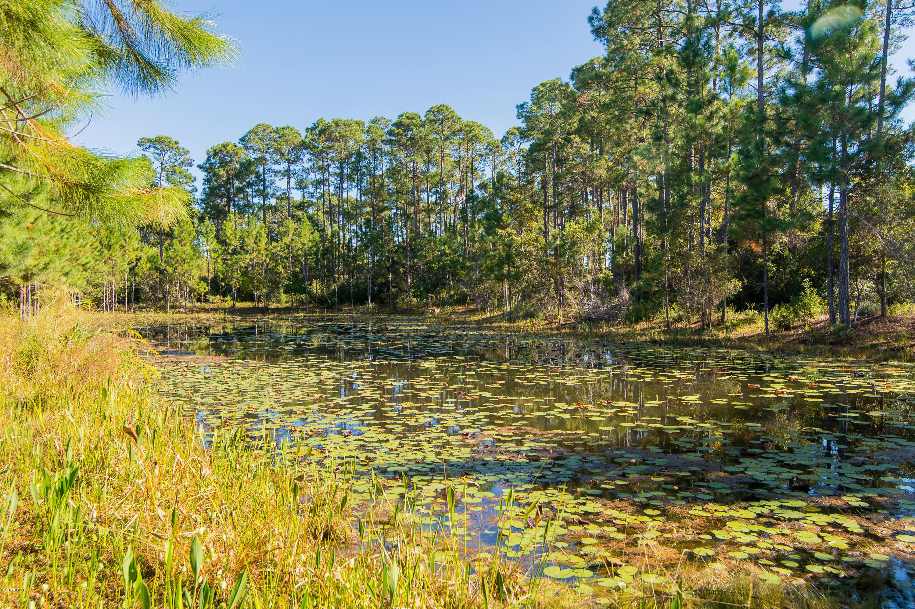 Linkside At Wild Heron - Residential