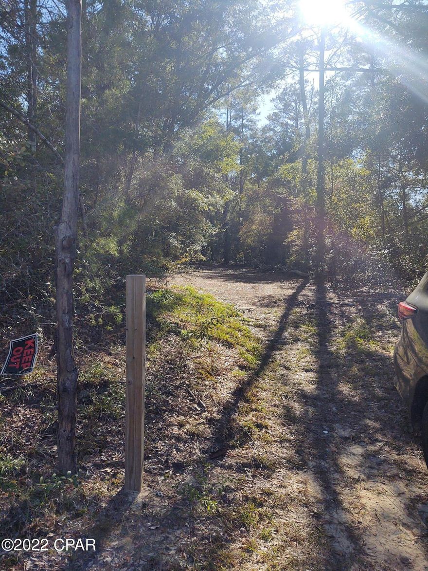 Peaceful country paradise in Otter Creek.

Wooded Lot for your home or RV.

Conveniently located just south of Ebro, take Hwy 79 directly to the beaches of Panama City Beach.

Boat ramps for accessing Otter Creek, 

Pine Log State Forest and NWF International Airport nearby.