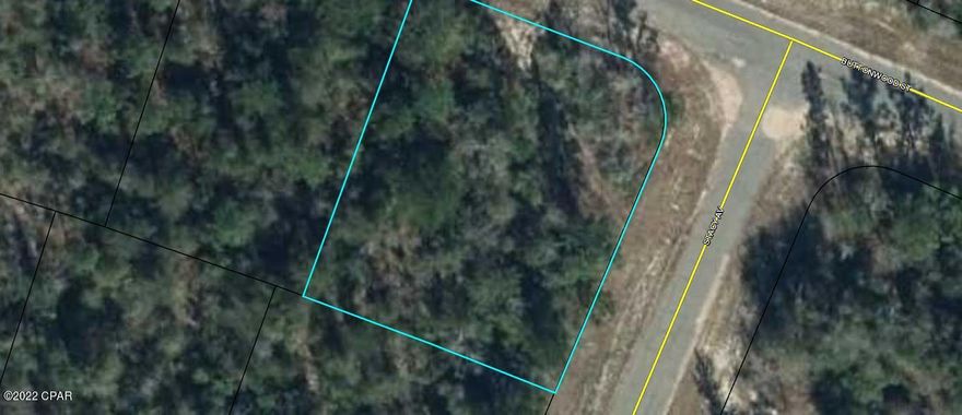 Great corner lot in beautiful Sunny Hills (Chipley) Florida. 

There is plenty of wildlife visiting the property like rabbits, eagles, deer ect....  and surrounding the area are numerous places to camp, swim, kayak, canoe and some of the best fishing on the planet. The property is less than an hour away from The World's Most Beautiful Beaches Panama City Beach and Famous Pier Park Shopping. Just down the road are the Marianna Caverns and Tyndall Air Force Base. There are also several State Parks near by with some of the freshest deep water springs that are crystal clear and waiting for you to jump in. Call today for your private showing.