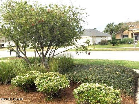 Palmetto Trace Phase 2 - Residential