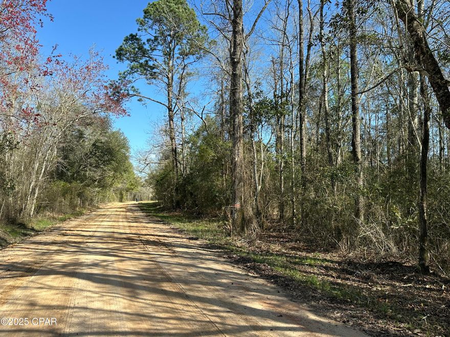 An exceptional opportunity awaits with this sprawling 203+/- acre parcel of land, strategically located in the heart of Bonifay, Florida. This prime property offers a wealth of possibilities for developers, investors, and outdoor enthusiasts alike.