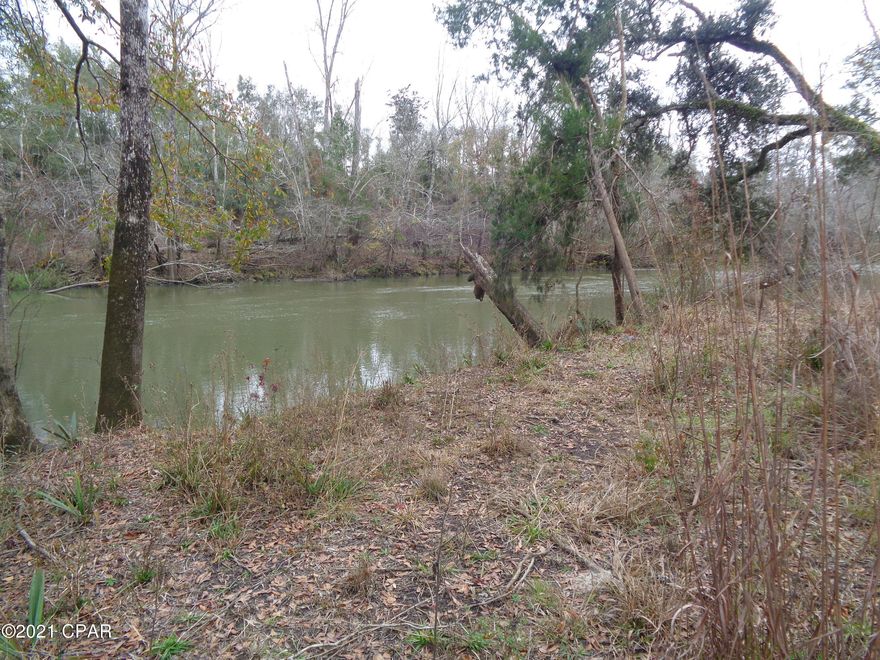 Great Recreational lot located on the Chipola River ready for a new home. Public boat ramp within minutes of lot.