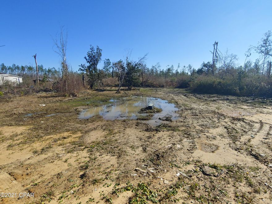 1 Acre Lot to build or move your new home to. Quiet area on dead end road off Hwy 231. Previous mobile home demoed, utility info unknown. 



All measurements approximate, utilities and feasibility are responsibility of buyer.