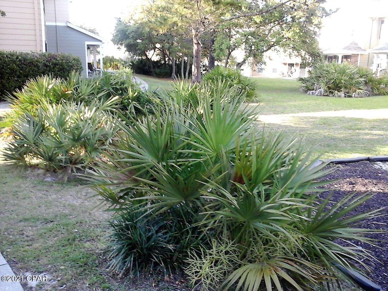 Nautilus Condo - Residential Lease